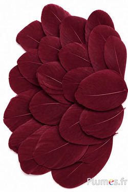 Petali in piume - 6-8 x 3-4 cm - bordò